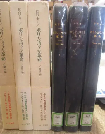 폴리셰비키 혁명
