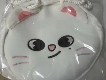 straykids 현진 토트백