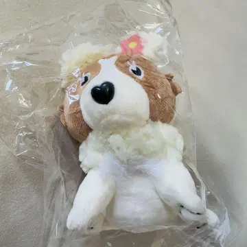 미개봉 새상품 그린 노랑 사회 콜리플라워 봉제 인형