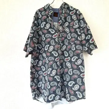HAGGAR.CASUALS 남성용 페이즐리 패턴 셔츠