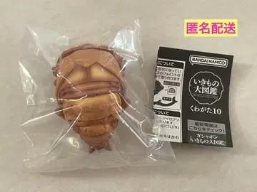생물대도감 장수풍뎅이 10 오오쿠와가타 번데기 가챠가챠