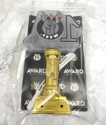 west 응원봉 AWARD 10th