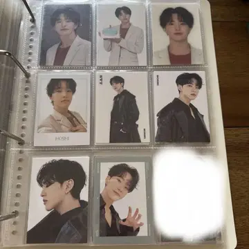 세븐틴 호시 트레이딩 카드