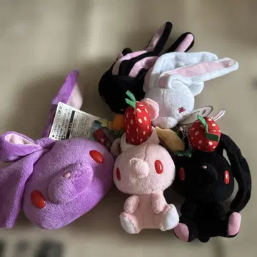 범용 토끼 세트 정리