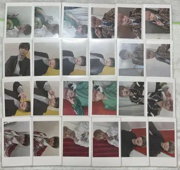 팬더 드래곤 파라곤 DD 쫄깃쫄깃 아즈 하피카 굿즈