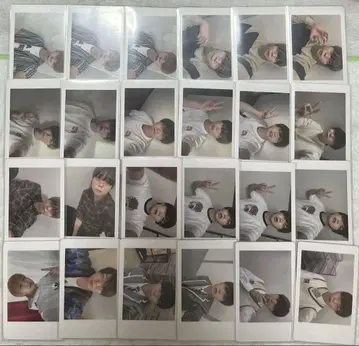 팬더 드래곤 파라곤 DD 쫄깃쫄깃 아즈 하피카 굿즈