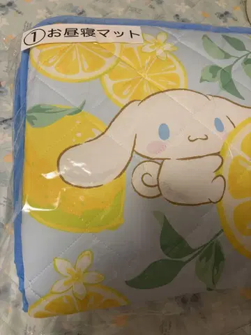 시나몬 복권 낮잠 매트