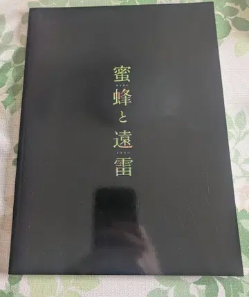 꿀벌과 먼 번개 영화 팜플렛