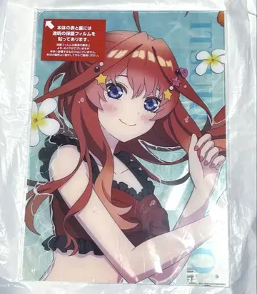 5등분의 신부 히코쿠지 여름 파티 E상 나카노 사츠키 아크릴