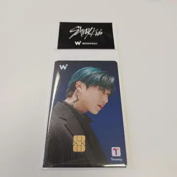 Stray Kids WOWPASS 와우패스 스키즈 공식 카드  장빈