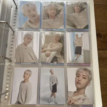 세븐틴 호시 트레이딩 카드
