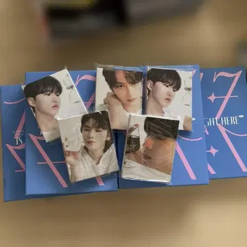 세부치 베스트 앨범 캐럿판