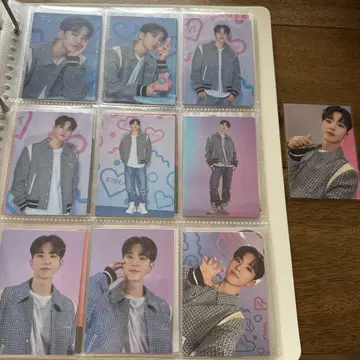 세븐틴 호시 트레이딩 카드