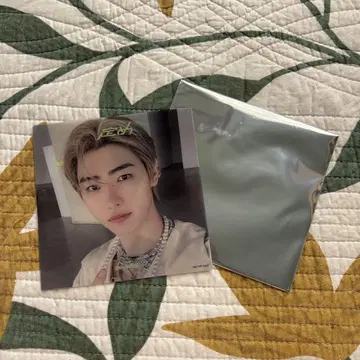 정해졌어, 손훈, 클리어 아나자 자켓