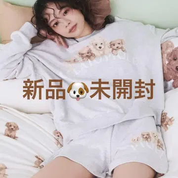 새상품 젤라또피케 토이 푸들 쭈리 풀오버&숏팬츠 세트