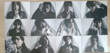 오오 스테 장례 행렬의 왕 방문객 혜택 엽서 B