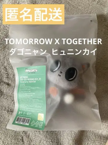 TXT 뿔바투 초기 키링 다곤냥 태현