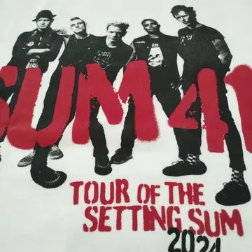 SUM 41 TOUR OF THE SETTING SUM 티셔츠 L
