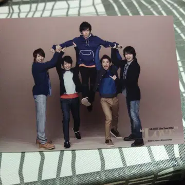 아라시 2013 사진