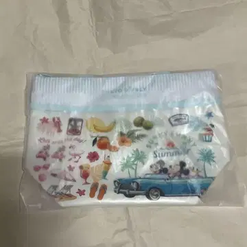 디즈니 리조트 써니 써니 썸머 수베니어 런치 케이스