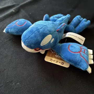 포켓몬 센터 카이오가 봉제 인형