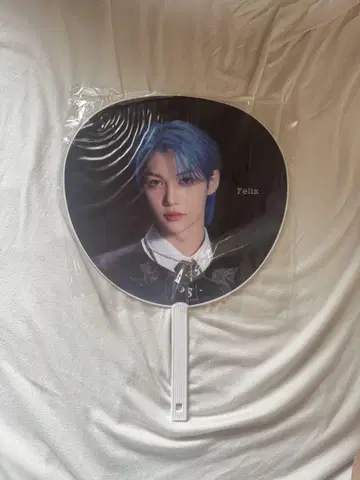 straykids 부채 필릭스 피리