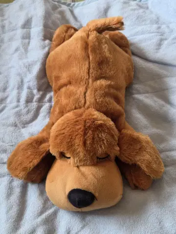 불안 해소를 위한 아이템 브라운 색상의 봉제 인형