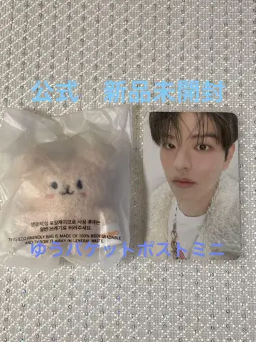 승민 마이크로 키링 stray kids 퍼핌 skzoo