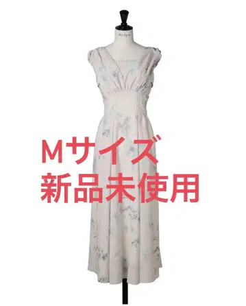암부아즈 모인 플레어 드레스 M