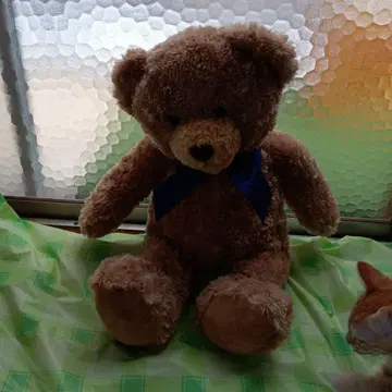 브라운 곰 봉제 인형