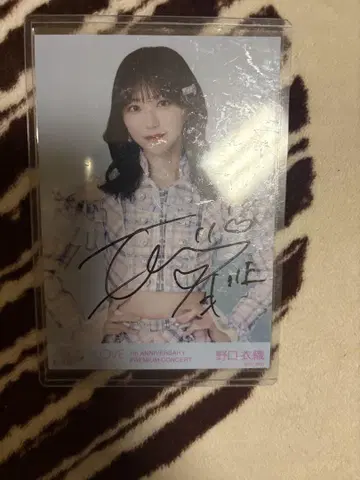 이코라브 =LOVE 노구치 이오리 친필