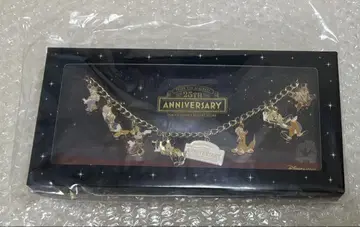 디즈니 스토어 도쿄 디즈니 리조트점 25주년 오리지널 백 참
