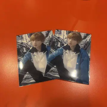 테니뮤 랜덤 브로마이드 히요시 와카