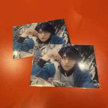 테니뮤 랜덤 브로마이드 시노즈카 유시