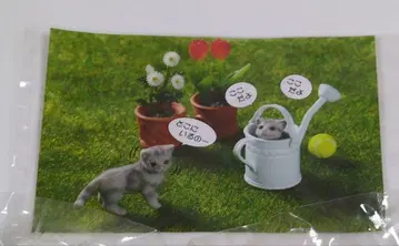 레어! 미개봉 리멘트 쁘띠 고양이 일기 정원에서 숨바꼭질