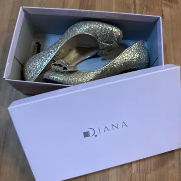 DIANA 핑 힐