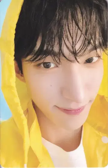 세븐틴 DK 세븐틴스 헤븐 캐럿