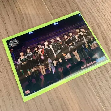 츠바키 팩토리 봄 투어 2025 코레샤