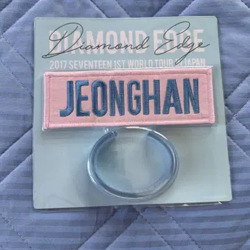 SEVENTEEN 정한 와펜 배지 엣지 네이비