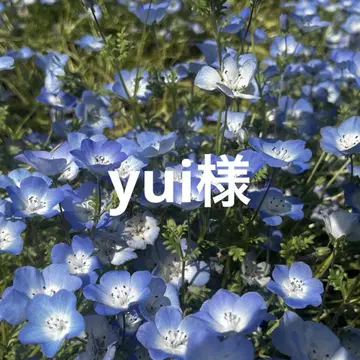 TWICE This is for 워크샵 키링 사나