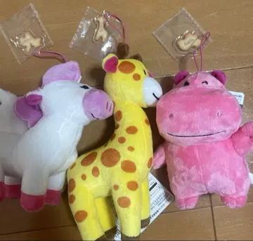 타베코 동물