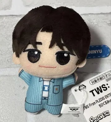 TWS SD 인형 SHINYU (시뉴) SHINYU 시뉴 신유 TWS