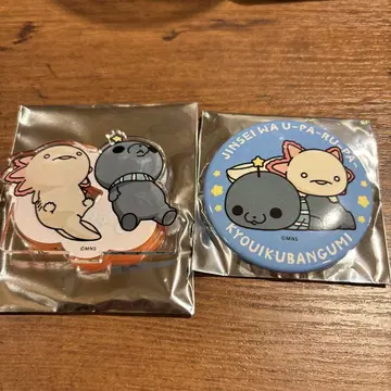 인생은 우파루파 교육 방송 콜라보 세트
