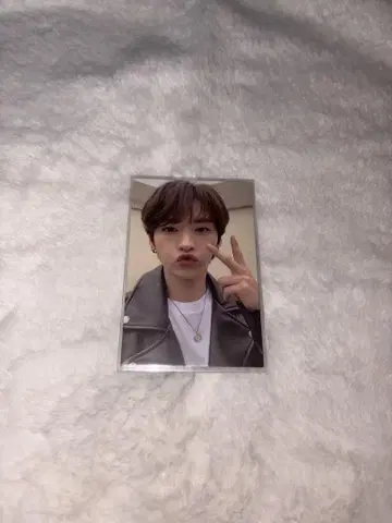스트레이키즈 리노