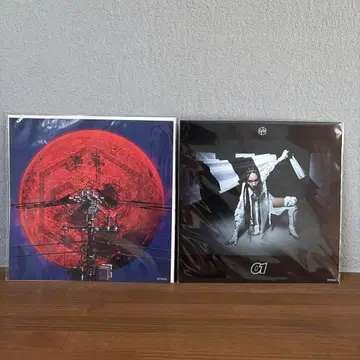여왕벌 메가 재킷 '야천' '01' 2장 세트