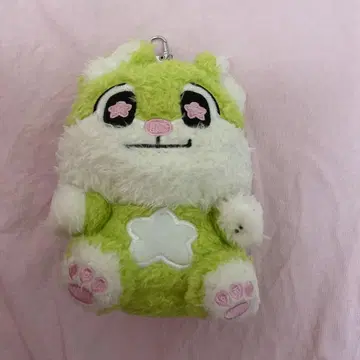 EVNNE EVNNIZ 정이 이정현
