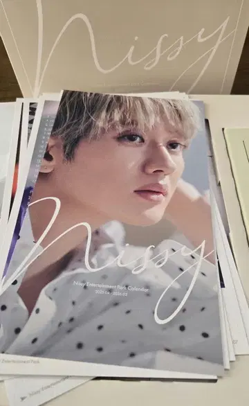 Nissy Entertainment Park 2025 달력