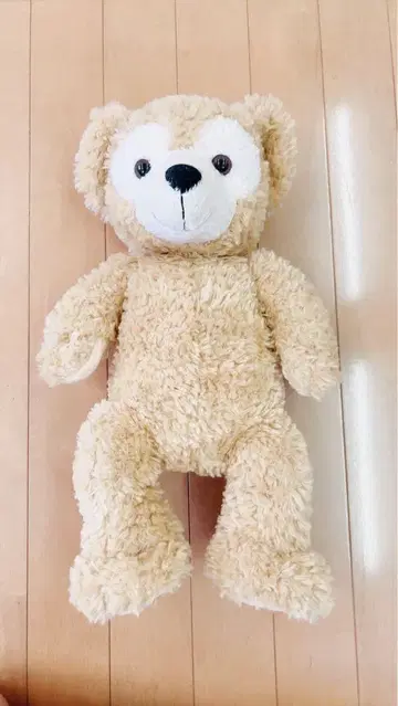 닷피 베이지 곰 봉제 인형