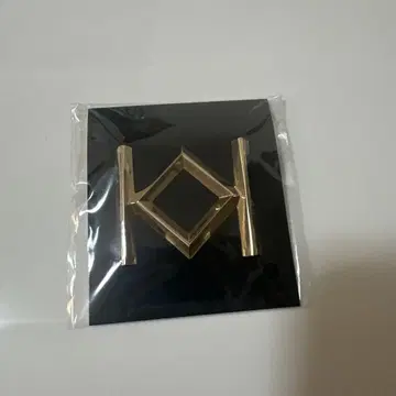 초특급 카이 KEEN AND INTENSE 핀 배지