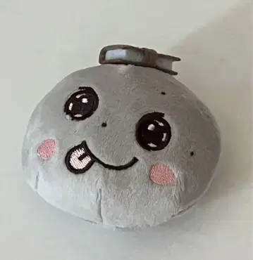 RIIZE 은석 봉제 인형 배치